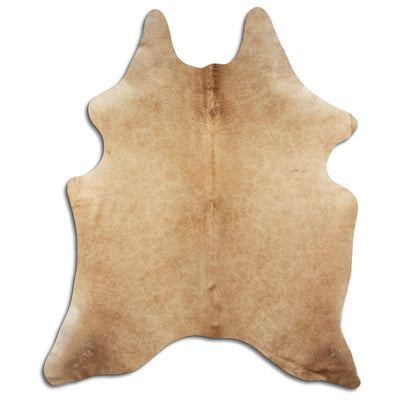 Shamppanja lehmäntalja L