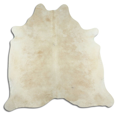 Shamppanja lehmäntalja L