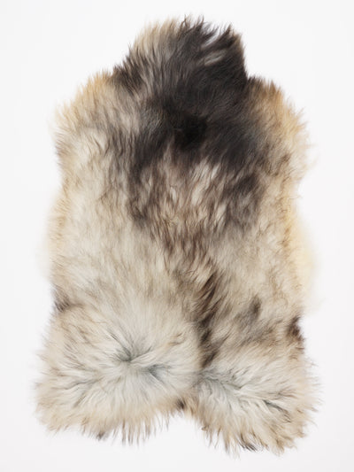 Harmaa islannin lampaantalja XXL