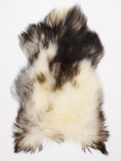 Islannin lampaantalja XL