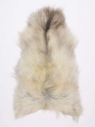 Islannin lampaantalja XL