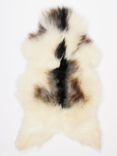 Islannin lampaantalja XL