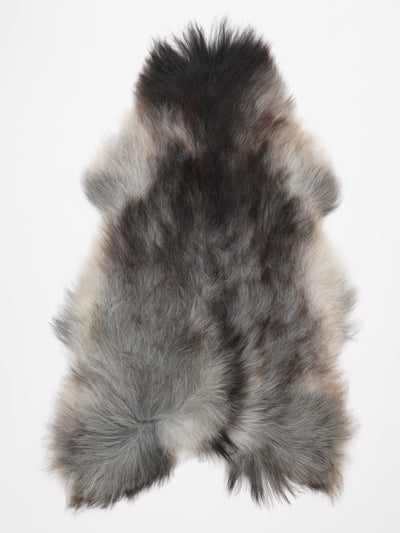 Harmaa islannin lampaantalja XXL