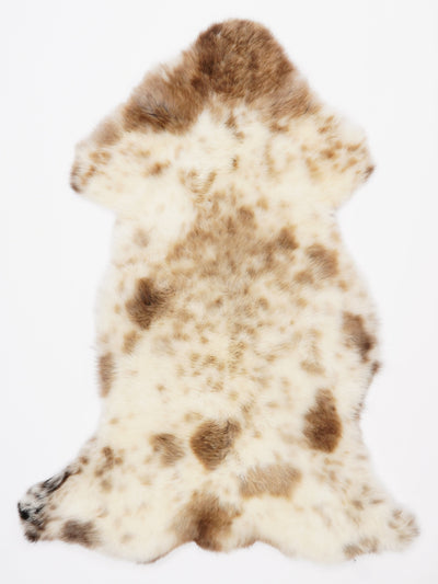 Monivärinen lampaantalja L