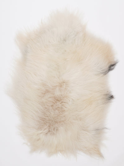 Islannin lampaantalja M