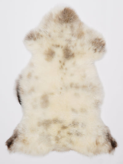 Monivärinen lampaantalja L