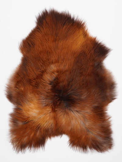 B-luokan Islannin lampaantalja L