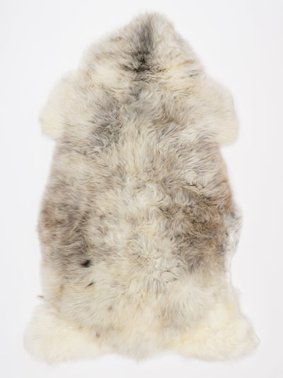 Monivärinen lampaantalja XL