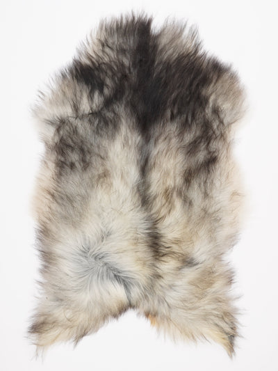 Harmaa islannin lampaantalja XL