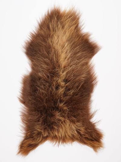 Islannin lampaantalja XXL