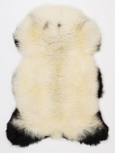 Monivärinen lampaantalja L