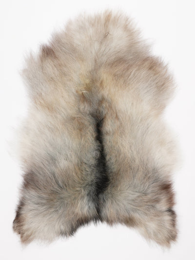 Islannin lampaantalja XL