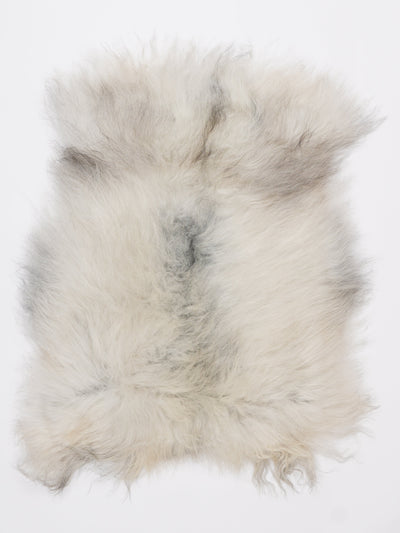 Islannin lampaantalja S