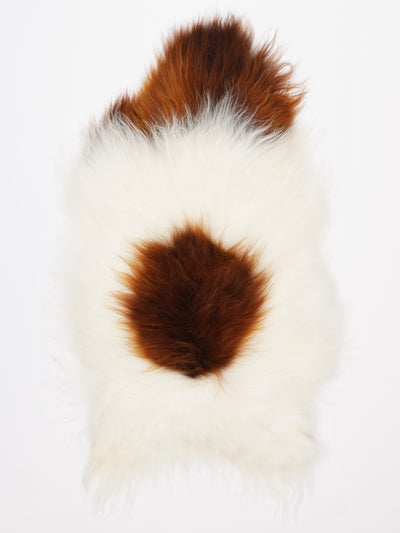 B-luokan Islannin lampaantalja L