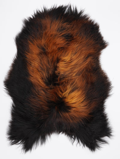 Islannin lampaantalja "Lava" XL
