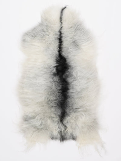 Islannin lampaantalja M