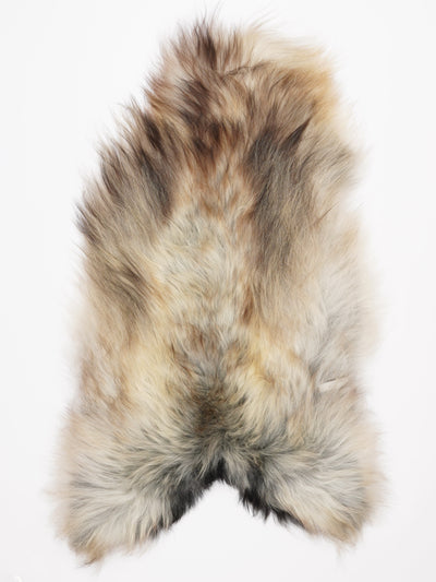 C-luokan Islannin lampaantalja XXL