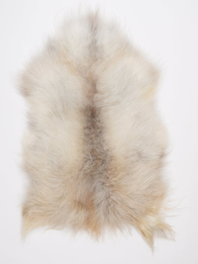 Islannin lampaantalja XL