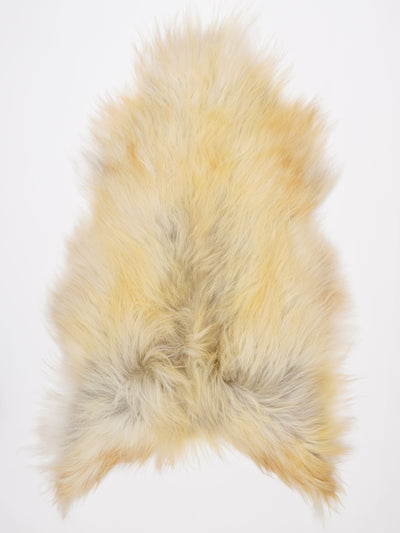 B-luokan Islannin lampaantalja XL