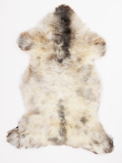 Monivärinen lampaantalja L