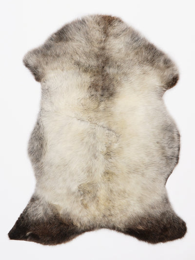 Monivärinen lampaantalja M