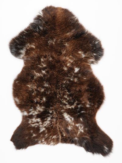 Monivärinen lampaantalja L