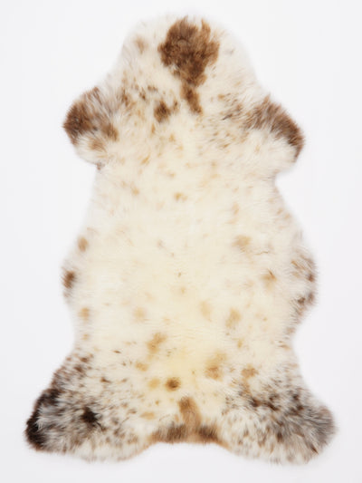 Monivärinen lampaantalja L