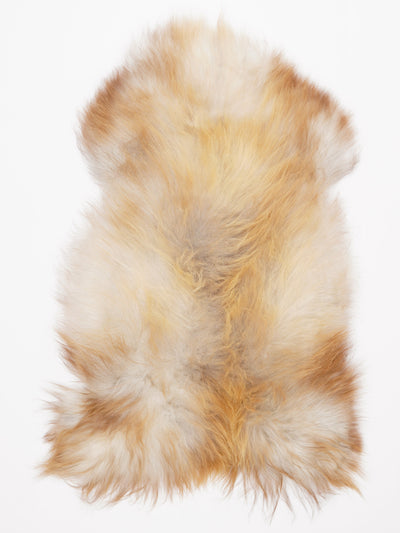 Islannin lampaantalja L