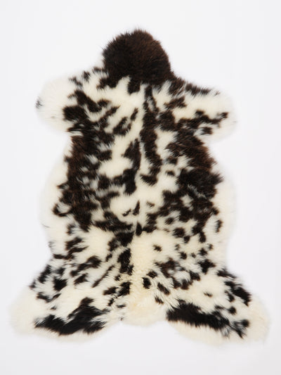 Monivärinen lampaantalja L