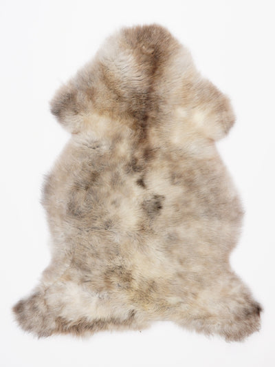 Monivärinen lampaantalja L