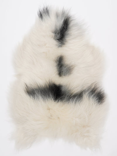 Islannin lampaantalja L