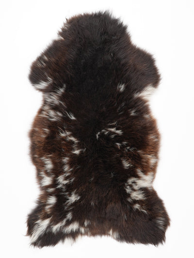 Monivärinen lampaantalja L