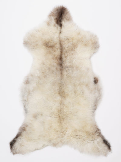 Monivärinen lampaantalja XL