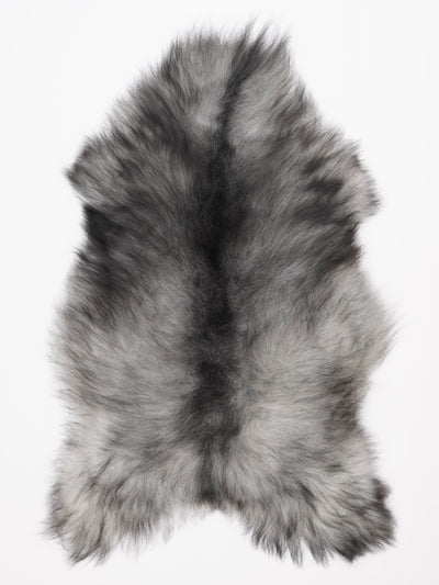 Islannin lampaantalja XL