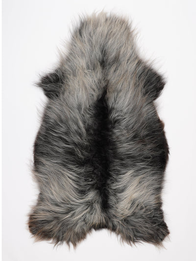 B-luokan Islannin lampaantalja XXL