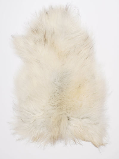 Islannin lampaantalja L