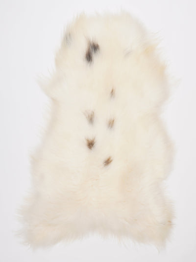 Islannin lampaantalja XL