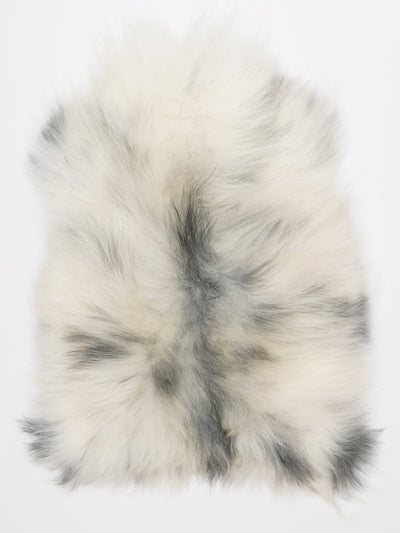 Islannin lampaantalja L