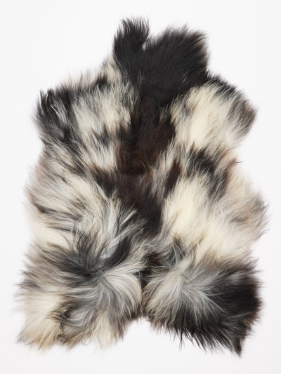 Islannin lampaantalja XL