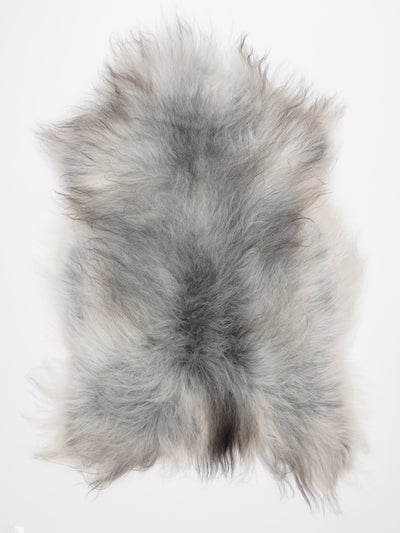 Islannin lampaantalja XL