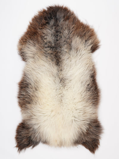 Monivärinen lampaantalja XXL