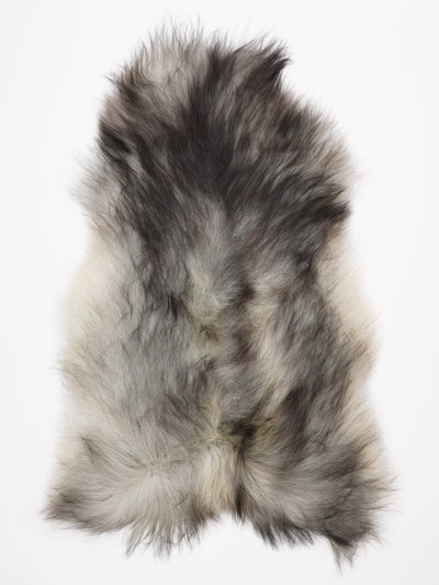 Harmaa islannin lampaantalja XXXL