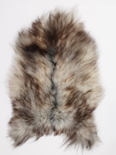 Harmaa islannin lampaantalja L