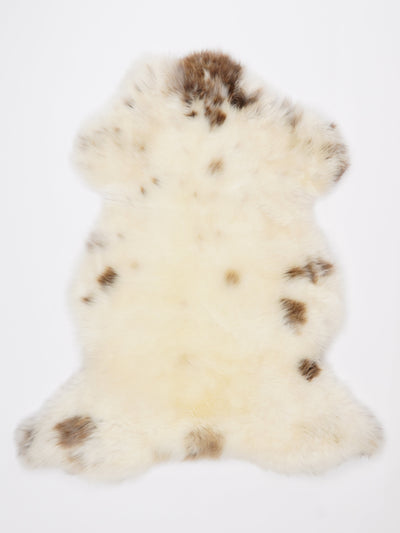 Monivärinen lampaantalja L