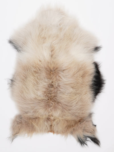 Islannin lampaantalja M