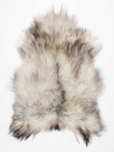 Harmaa islannin lampaantalja XL