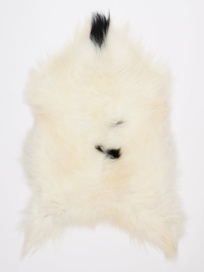 Islannin lampaantalja XL