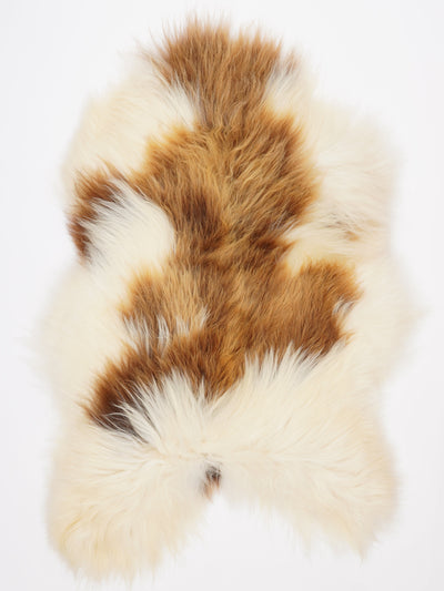 Islannin lampaantalja XL