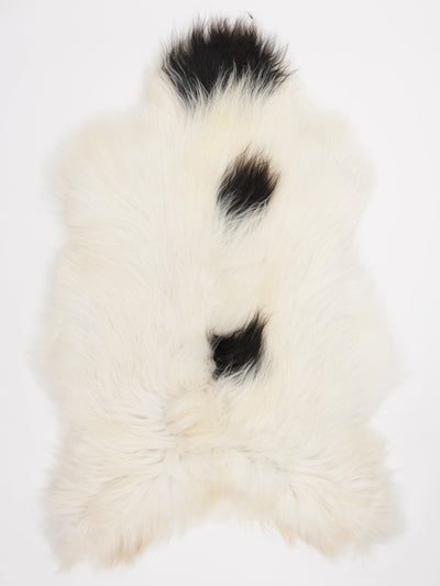 Islannin lampaantalja XXL