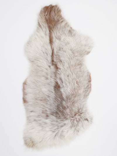 B-luokan monivärinen lampaantalja M